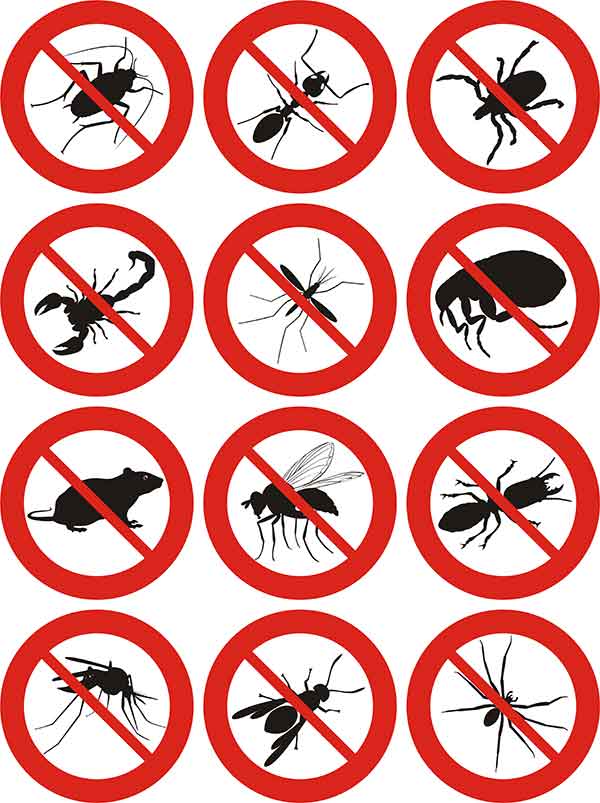 Stock Photo0No Pests Graphic- Smash Pest Control No Pests