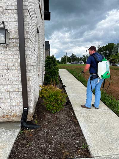 Original Photo-Spraying Pesticide- Smash Pest Control Spraying Pesticide
