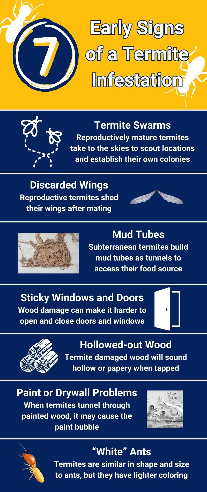 original infographic stating signs you might have termites in your home