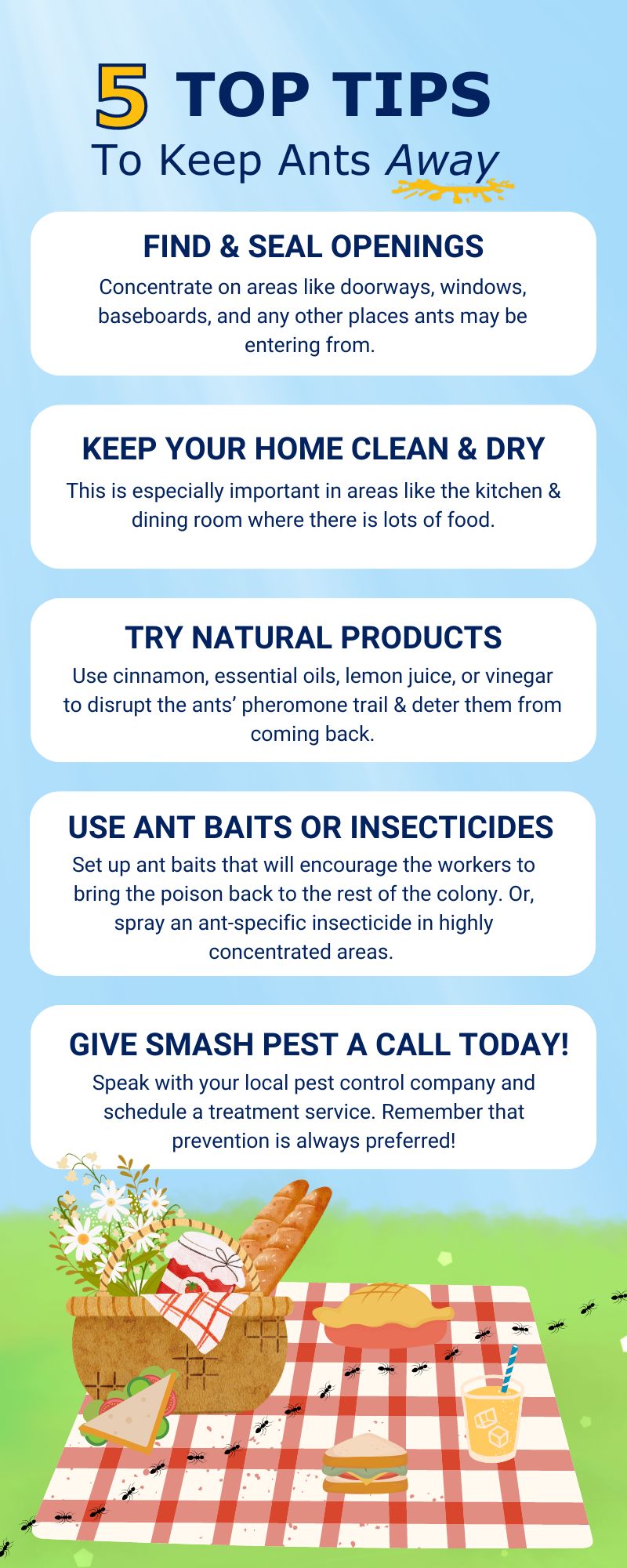 original infographic on top 5 tips for keeping ants away