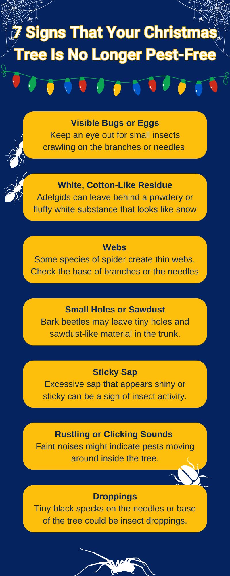 Smash Pest - infographic detailing signs of a Christmas tree pest infestation