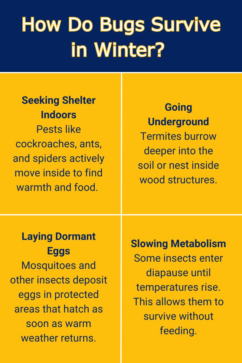 original infographic detailing pest survival tactics in winter