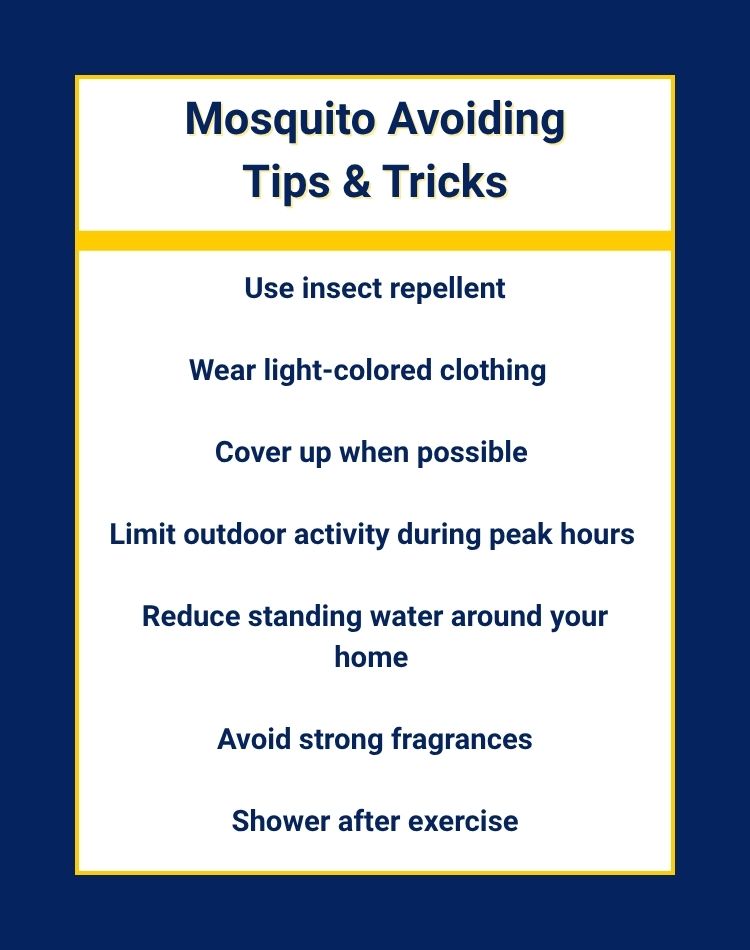 original infographic detailing tips to avoid mosquitoes