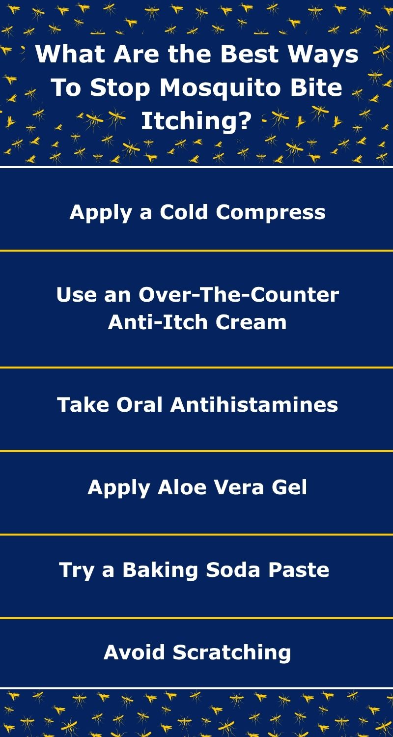 original infographic detailing tips to relieve itchy mosquito bites original infographic detailing tips to relieve itchy mosquito bites