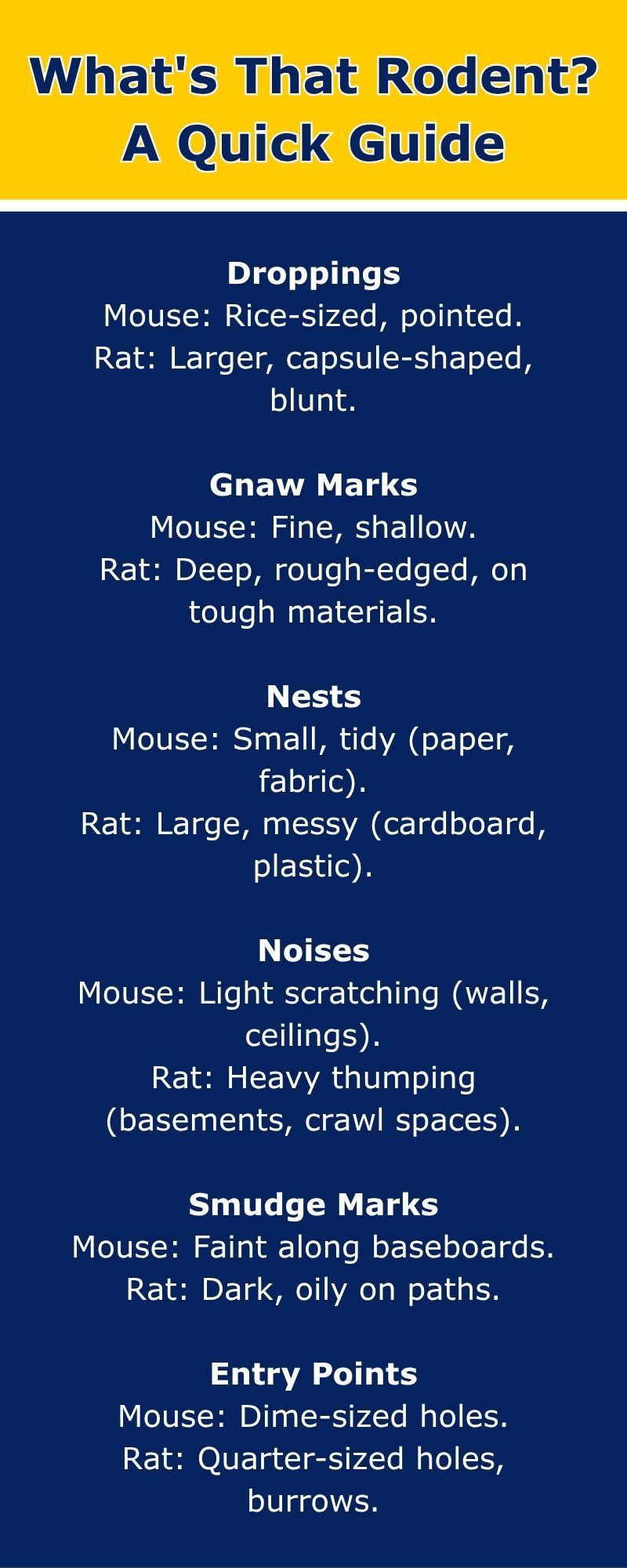original infographic on the differences between rats and mice