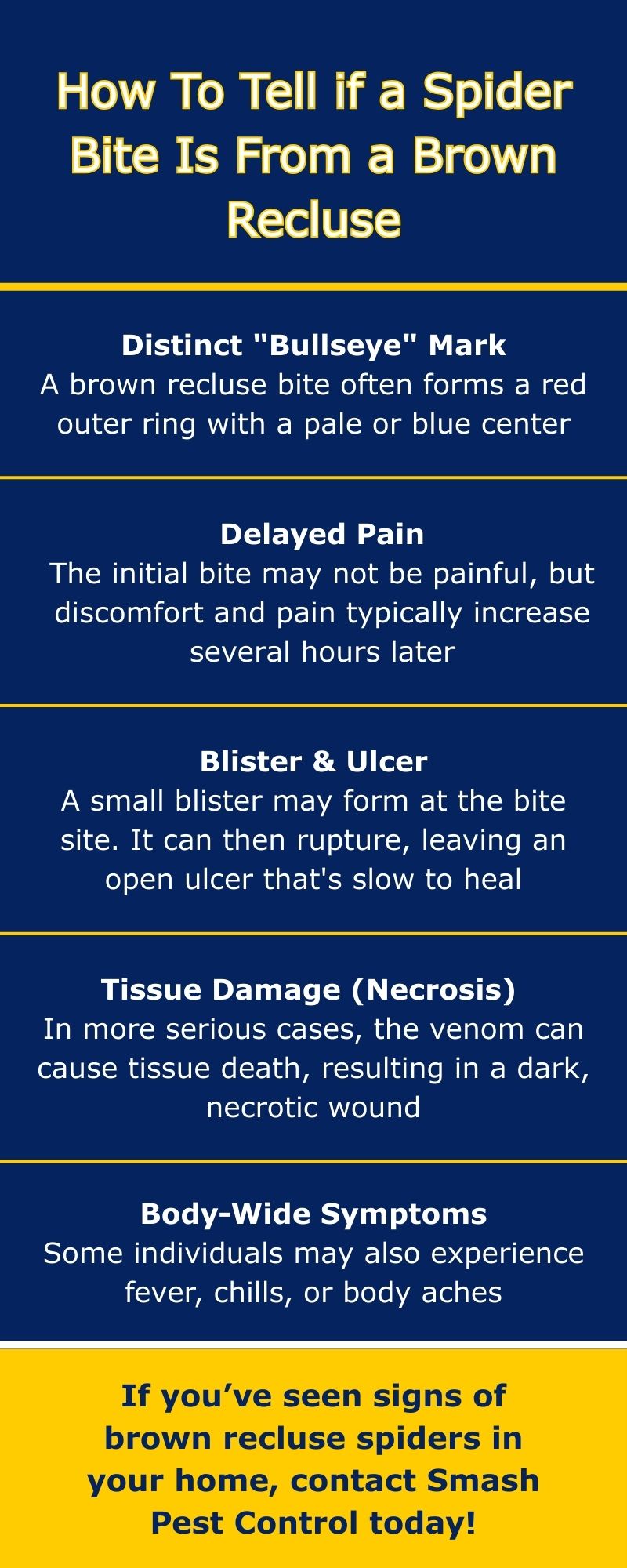 original infographic detailing signs of a brown recluse bite
